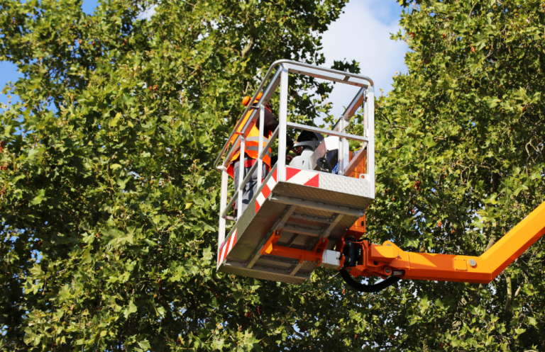 Capital Pro Boom Lift