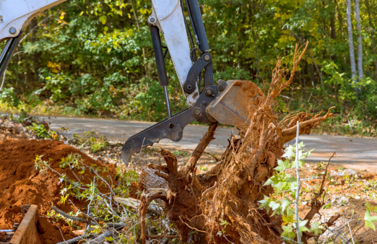 Capital Pro Root Removal