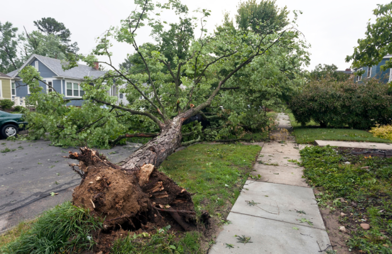 Capital Pro Severe Storm Cleanup