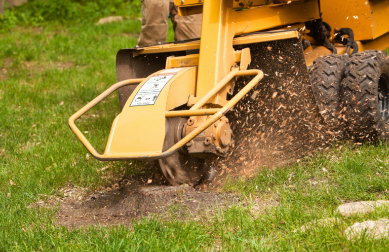 Capital Pro Stump Grinding