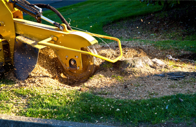 Capital Pro Stump Removal